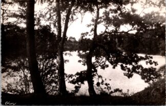 Paimpont 31 l’etang bleu