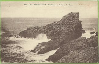2293 Belle Ile en Mer Sauzon La Pointe aux Poulains Le chien