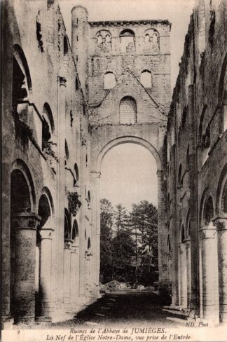 9 ruines de l'abbaye de Jumièges la nef de l'église notre dame vue prise de l'entrée