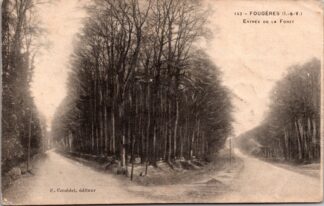 143 Fougères Entrée de la foret