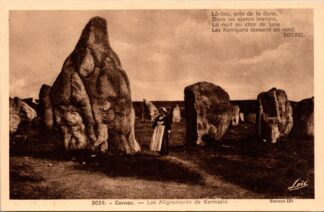 3039 Carnac les Alignements de Kermario