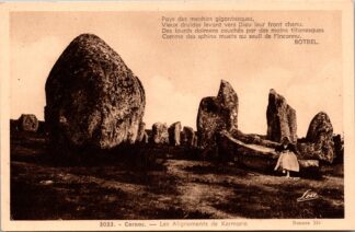 3033 Carnac les Alignements de Kermario