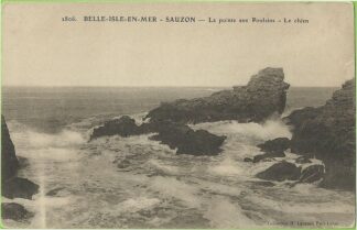 2806 Belle Isle en Mer Sauzon La Pointe aux Poulains Le Chien