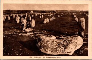 785 Carnac les alignements du Ménec