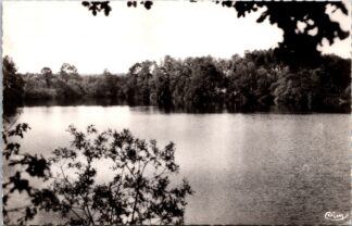 Paimpont 30 l’etang bleu