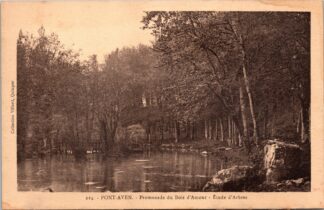 224 Pont-Aven promenade du Bois D'amour étude D'arbres