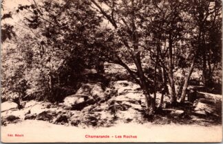 Chamarande les Roches