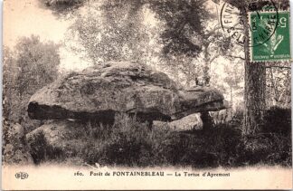 160 Forêt de Fontainebleau la Tortue D’apremont